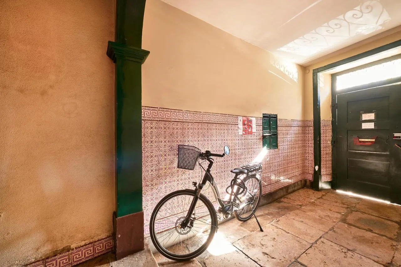 Renovated Charming Apartment, By Timecooler Lisbon Apartment